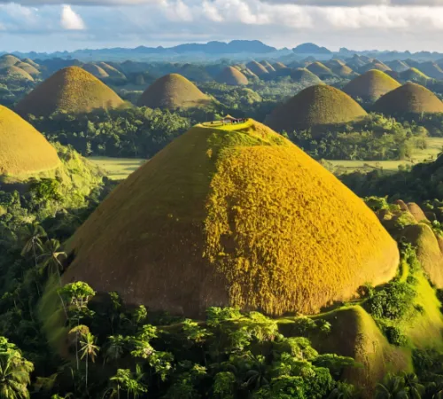 Pearls of the Philippines